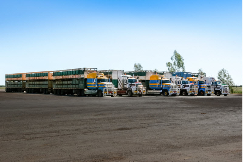 Road Trains for transporting livestock parked